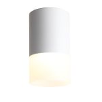 Потолочные светильники ST Luce ST100.502.05 OTTU