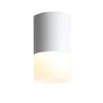 Потолочные светильники ST Luce ST100.502.10 OTTU