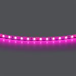 Светодиодные ленты Lightstar 420512