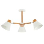 Люстры Evoluce SLE103702-03 Buve