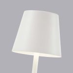 Настольные лампы F-Promo 4614-1T Pyari
