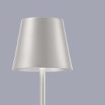 Настольные лампы F-Promo 4617-1T Pyari