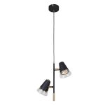 Подвесные светильники F-Promo 4618-2P Trandy