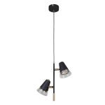 Подвесные светильники F-Promo 4618-2P Trandy