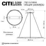 Люстры Citilux CL215B050 TRIO