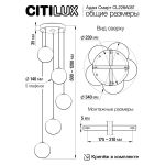 Люстры Citilux CL228A051 Адам Смарт