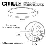 Потолочные светильники Citilux CL748181 NORMA