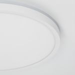 Потолочные светильники Citilux CL748320 NORMA