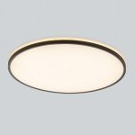 Потолочные светильники Citilux CL748601 NORMA