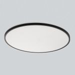 Потолочные светильники Citilux CL748601 NORMA