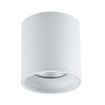 ST165.532.12 Светильник потолочный Белый LED 1*12W 3000K 840Lm Ra&gt;90 36° IP44 D80xH100 85-265V Накладные светильники
