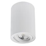 Точечные светильники Arte Lamp A1566PL-1WH SENTRY