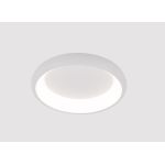 Потолочные светильники Arte Lamp A2694PL-45WH MENKIB