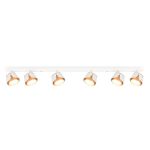 Точечные светильники Arte Lamp A8028PL-6WH AMAKS