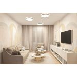 Потолочные светильники Denkirs DK6511-WH/1 PLATO