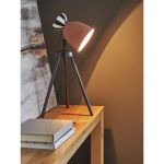 Настольные лампы Bergenson Bjorn BD-3103456 Anniken