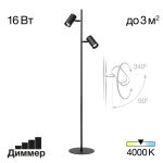 Торшеры Citilux CL809011N Twin