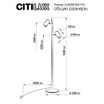 Торшеры Citilux CL809011N Twin
