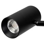 Торшеры Citilux CL809011N Twin