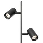 Торшеры Citilux CL809011N Twin