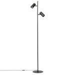 Торшеры Citilux CL809011N Twin