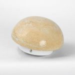 Настенные светильники Lussole LSP-7329 MOON