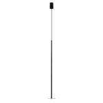 Подвесные светильники Loft It 10358/830 Disk Reed