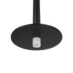 Подвесные светильники Loft It 10358/830 Disk Reed