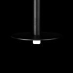 Подвесные светильники Loft It 10358/830 Disk Reed
