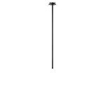 Точечные светильники Loft It 10359/800 Black Cane