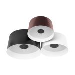 Потолочные светильники Loft It 10360/3 Duo