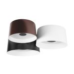 Потолочные светильники Loft It 10360/3 Duo