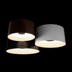 Потолочные светильники Loft It 10360/3 Duo