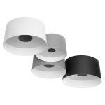 Потолочные светильники Loft It 10360/4 Duo