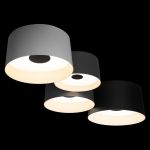 Потолочные светильники Loft It 10360/4 Duo