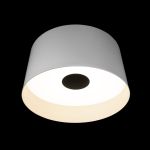 Потолочные светильники Loft It 10360L White Duo
