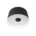 Потолочные светильники Loft It 10360S Black Duo
