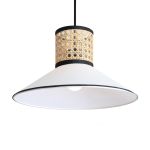 Подвесные светильники Freya FR5483PL-01B3 Mixture