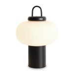 Настольные лампы Freya FR6175TL-L10B Take