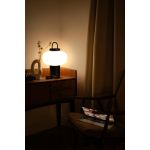 Настольные лампы Freya FR6175TL-L10B Take