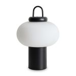 Настольные лампы Freya FR6175TL-L10B Take