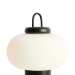 Настольные лампы Freya FR6175TL-L10B Take