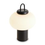 Настольные лампы Freya FR6175TL-L10B Take