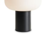 Настольные лампы Freya FR6175TL-L10B Take