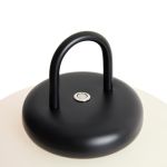 Настольные лампы Freya FR6175TL-L10B Take