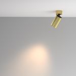Точечные светильники Maytoni C108CL-01-GU10-BS Calipso