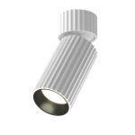 Точечные светильники Maytoni C108CL-01-GU10-W Calipso
