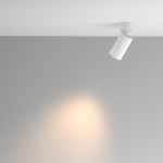 Точечные светильники Maytoni C108CL-01-GU10-W Calipso