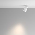 Точечные светильники Maytoni C110CL-01-GU10-W Calipso
