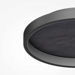 Потолочные светильники Maytoni MOD311CL-L40B3K Orign